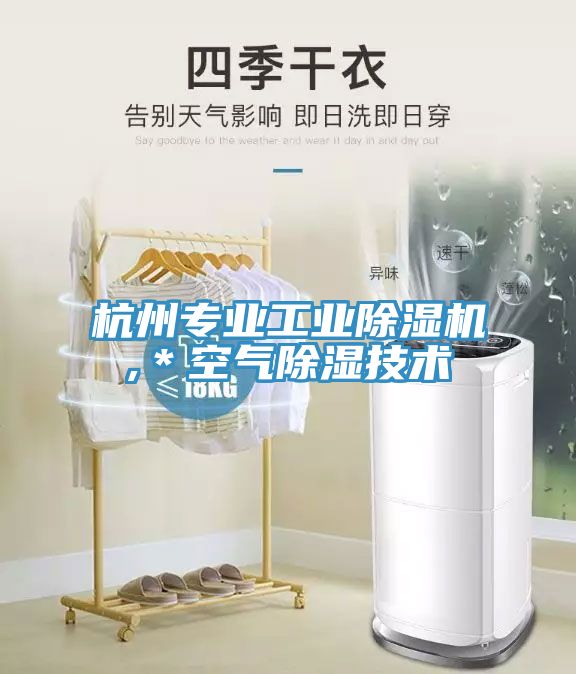 杭州專業工業榴莲视频官网APP,＊空氣除濕技術