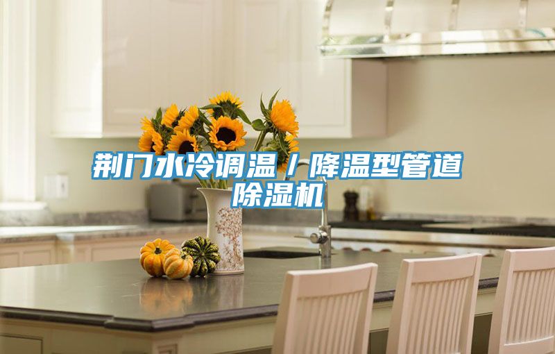 荊門水冷調溫／降溫型管道榴莲视频官网APP