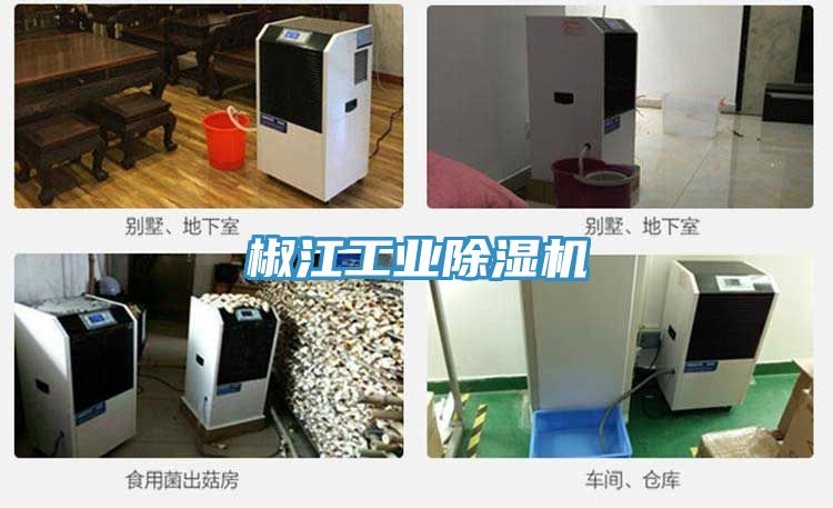 椒江工業榴莲视频官网APP