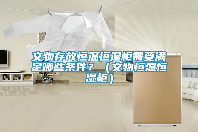 文物存放恒溫恒濕櫃需要滿足哪些條件？（文物恒溫恒濕櫃）
