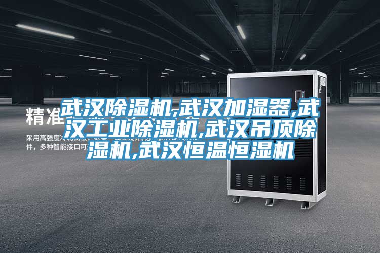 武漢榴莲视频官网APP,武漢加濕器,武漢工業榴莲视频官网APP,武漢吊頂榴莲视频官网APP,武漢恒溫恒濕機