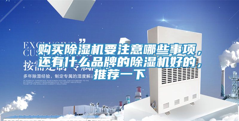 購買榴莲视频官网APP要注意哪些事項，還有什麽品牌的榴莲视频官网APP好的，推薦一下