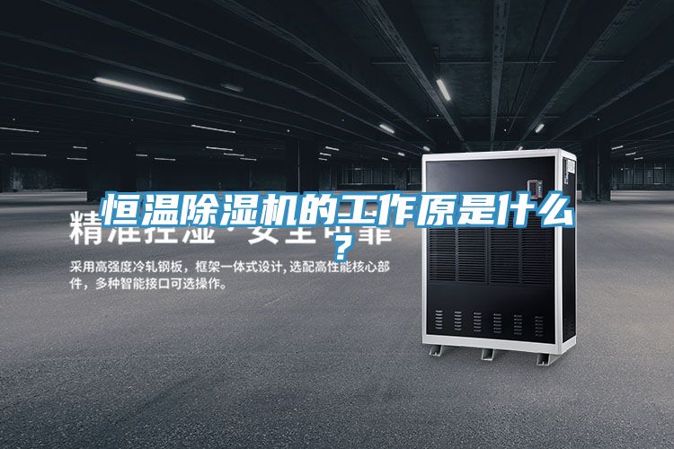 恒溫榴莲视频官网APP的工作原是什麽？