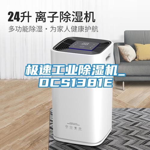 極速工業榴莲视频官网APP_DCS1381E