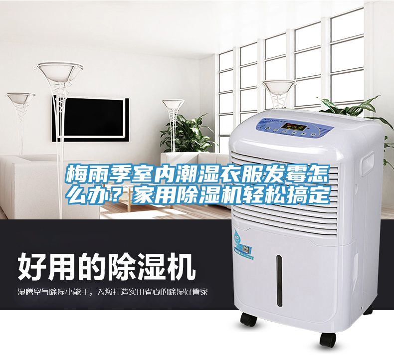 梅雨季室內潮濕衣服發黴怎麽辦？家用榴莲视频官网APP輕鬆搞定