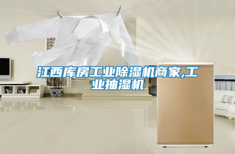 江西庫房工業榴莲视频官网APP商家,工業抽濕機