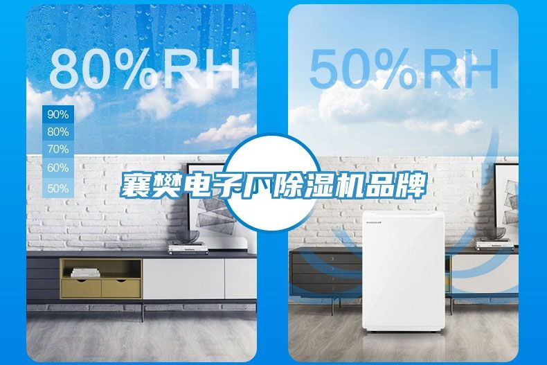 襄樊電子廠榴莲视频官网APP品牌