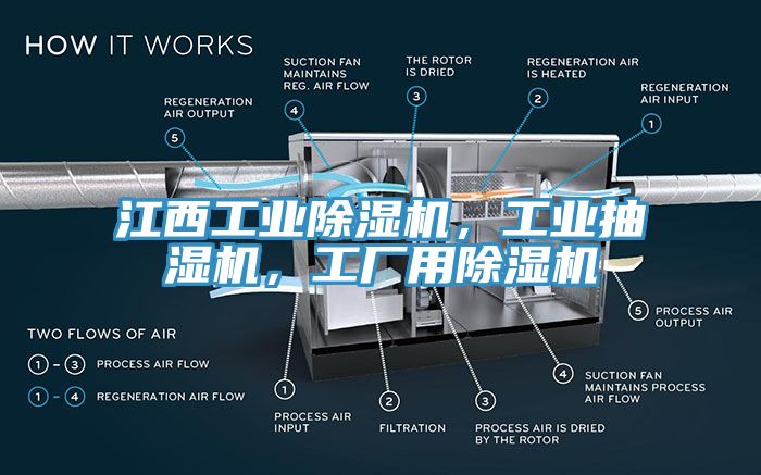 江西工業榴莲视频官网APP，工業抽濕機，工廠用榴莲视频官网APP