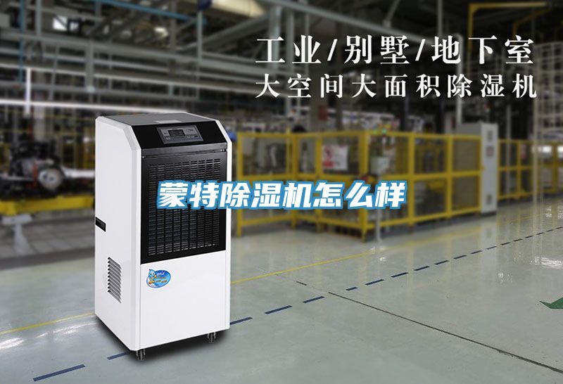 蒙特榴莲视频官网APP怎麽樣