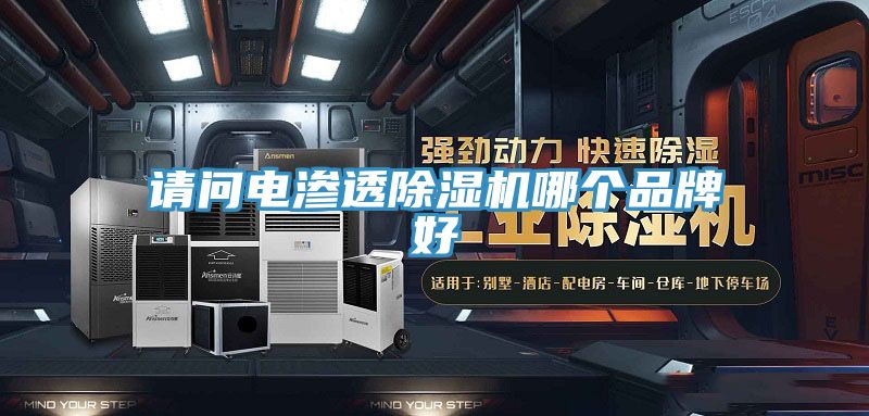 請問電滲透榴莲视频官网APP哪個品牌好