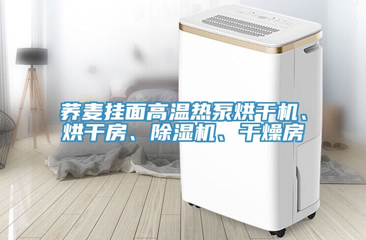 蕎麥掛麵高溫熱泵烘幹機、烘幹房、榴莲视频官网APP、幹燥房