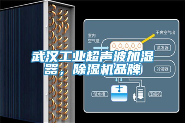 武漢工業超聲波加濕器，榴莲视频官网APP品牌
