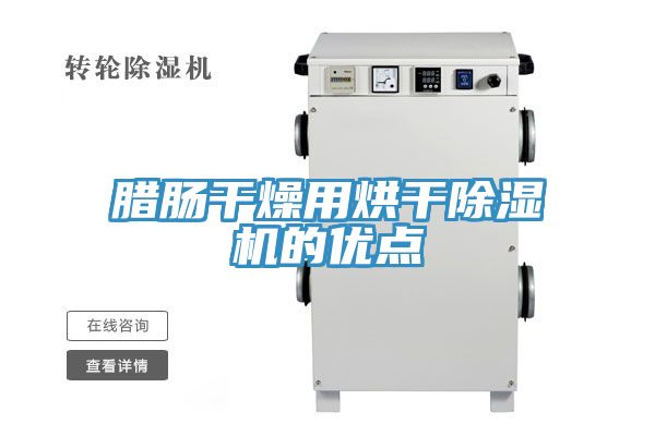臘腸幹燥用烘幹榴莲视频官网APP的優點