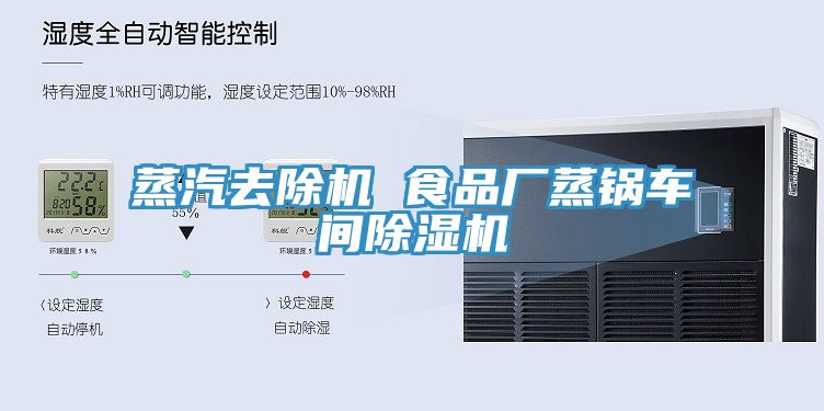 蒸汽去除機 食品廠蒸鍋車間榴莲视频官网APP