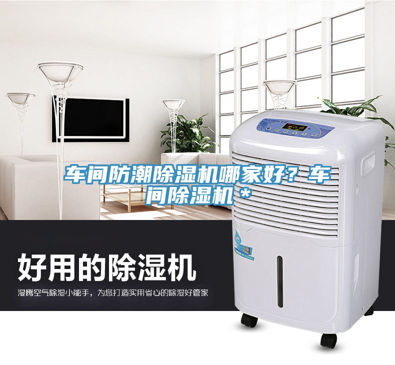 車間防潮榴莲视频官网APP哪家好？車間榴莲视频官网APP＊