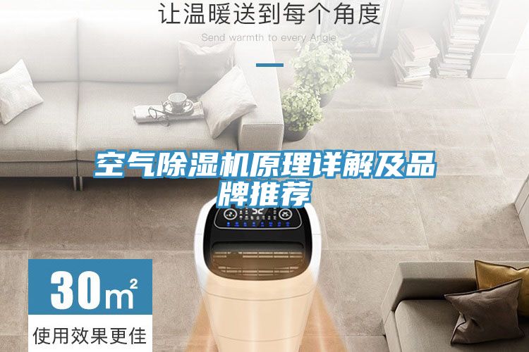 空氣榴莲视频官网APP原理詳解及品牌推薦