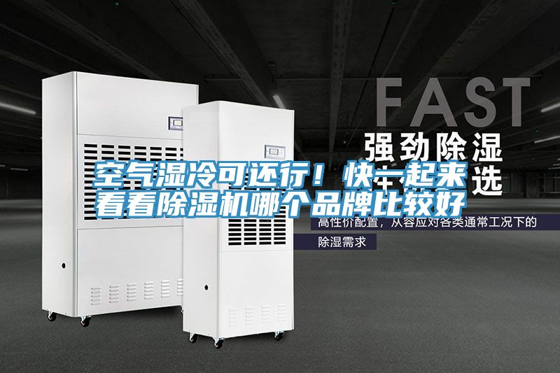 空氣濕冷可還行！快一起來看看榴莲视频官网APP哪個品牌比較好