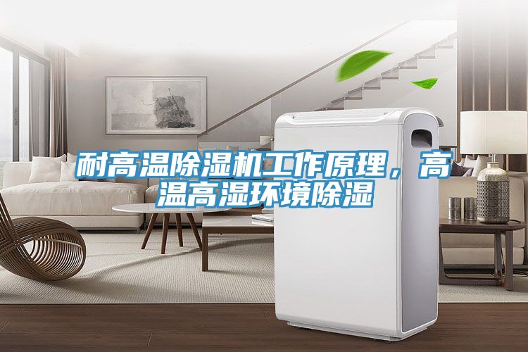 耐高溫榴莲视频官网APP工作原理，高溫高濕環境除濕