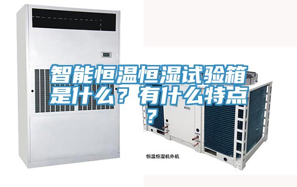 智能恒溫恒濕試驗箱是什麽？有什麽特點？