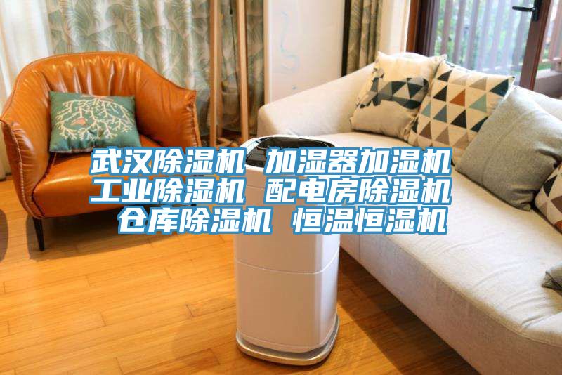 武漢榴莲视频官网APP 加濕器加濕機 工業榴莲视频官网APP 配電房榴莲视频官网APP 倉庫榴莲视频官网APP 恒溫恒濕機