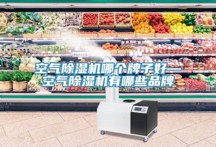 空氣榴莲视频官网APP哪個牌子好—空氣榴莲视频官网APP有哪些品牌