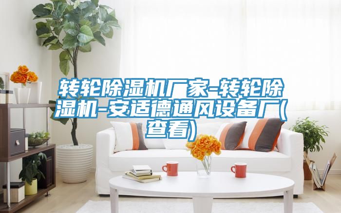 轉輪榴莲视频官网APP廠家-轉輪榴莲视频官网APP-安適德通風設備廠(查看)