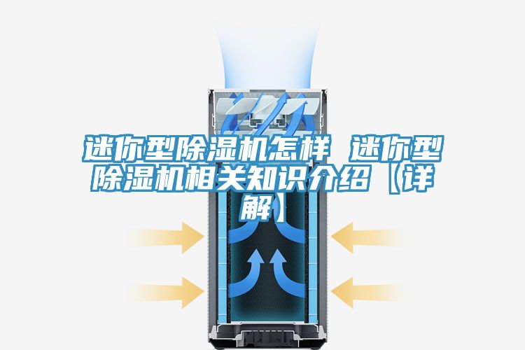 迷你型榴莲视频官网APP怎樣 迷你型榴莲视频官网APP相關知識介紹【詳解】