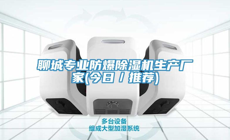 聊城專業防爆榴莲视频官网APP生產廠家(今日／推薦)