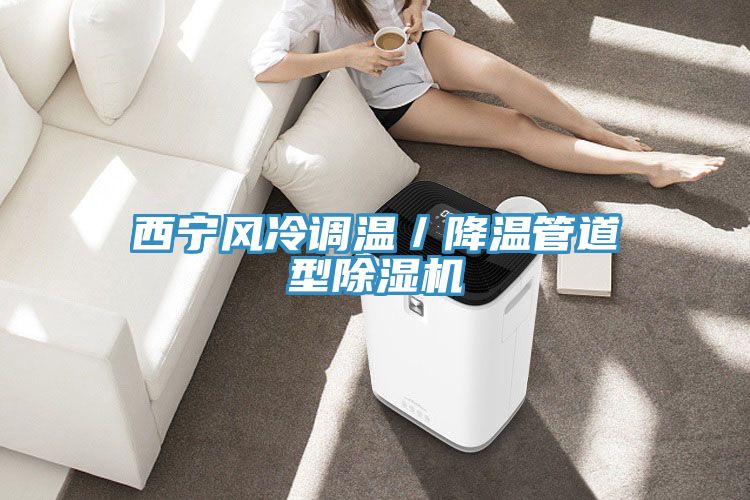 西寧風冷調溫／降溫管道型榴莲视频官网APP
