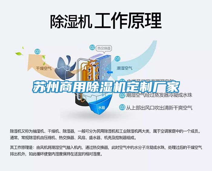 蘇州商用榴莲视频官网APP定製廠家