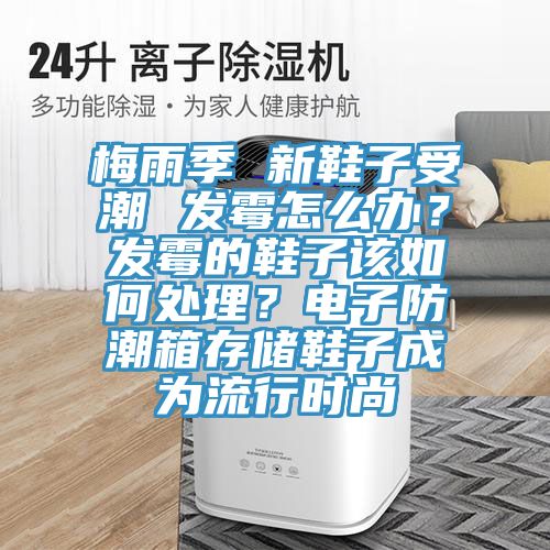 梅雨季 新鞋子受潮 發黴怎麽辦？發黴的鞋子該如何處理？電子防潮箱存儲鞋子成為流行時尚