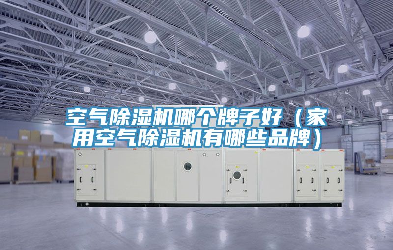 空氣榴莲视频官网APP哪個牌子好（家用空氣榴莲视频官网APP有哪些品牌）