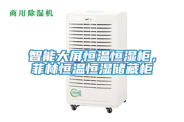 智能大屏恒溫恒濕櫃，菲林恒溫恒濕儲藏櫃