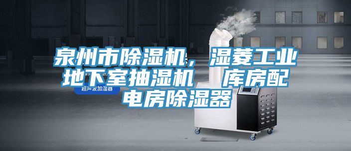 泉州市榴莲视频官网APP，濕菱工業地下室抽濕機  庫房配電房除濕器
