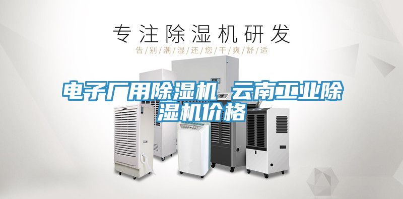 電子廠用榴莲视频官网APP 雲南工業榴莲视频官网APP價格