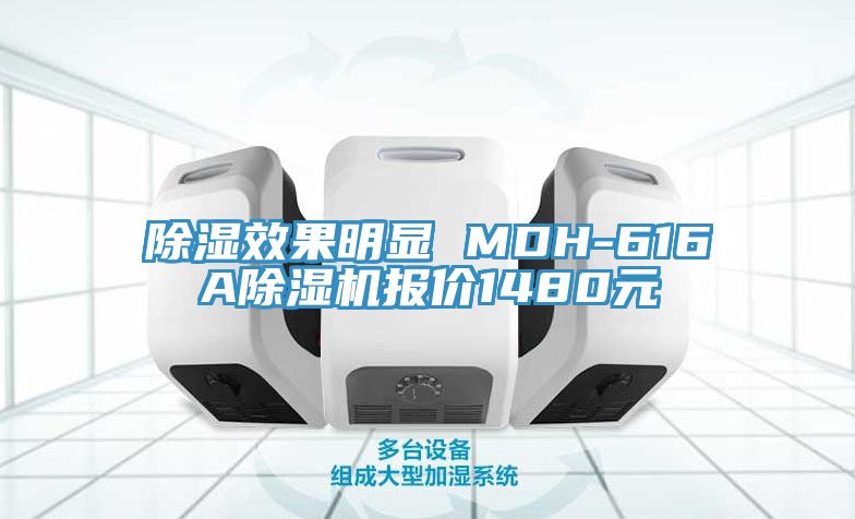 除濕效果明顯 MDH-616A榴莲视频官网APP報價1480元