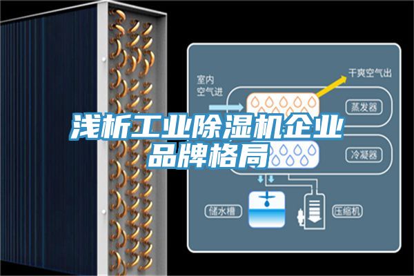 淺析工業榴莲视频官网APP企業品牌格局