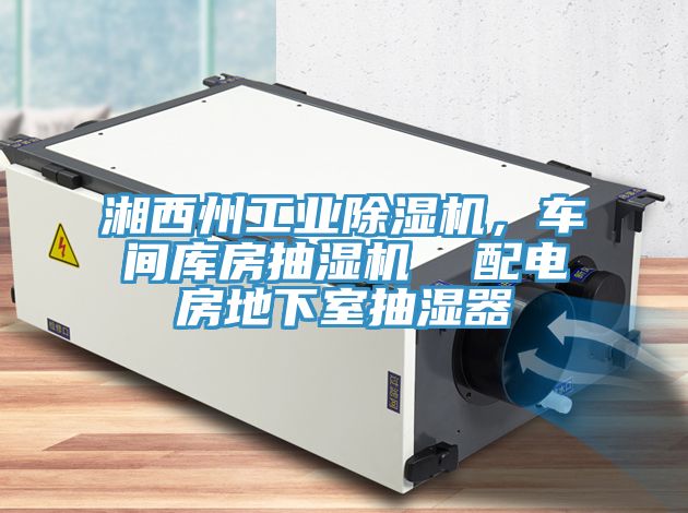 湘西州工業榴莲视频官网APP，車間庫房抽濕機  配電房地下室抽濕器