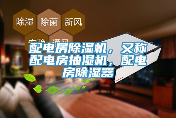 配電房榴莲视频官网APP，又稱配電房抽濕機，配電房除濕器