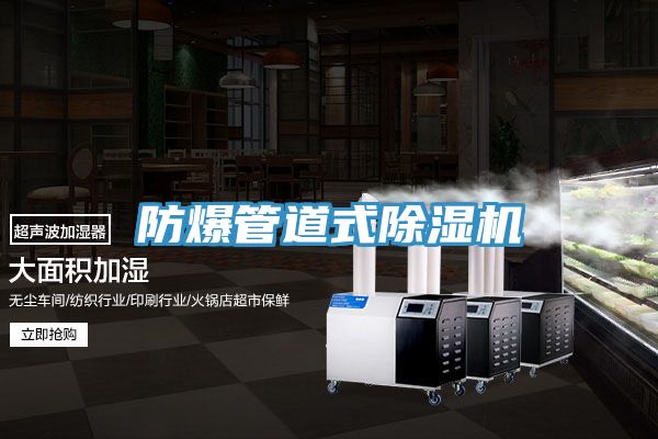 防爆管道式榴莲视频官网APP