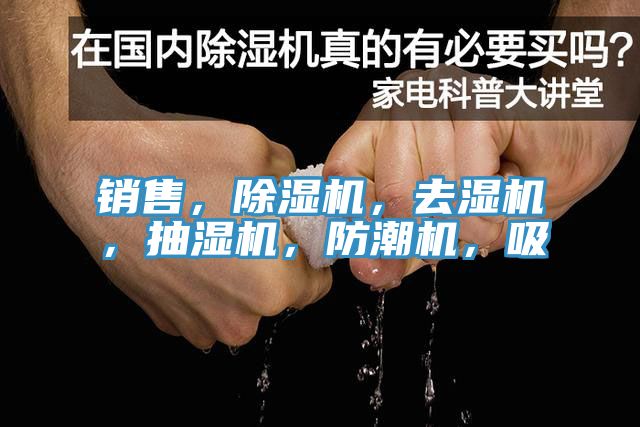 銷售，榴莲视频官网APP，去濕機，抽濕機，防潮機，吸