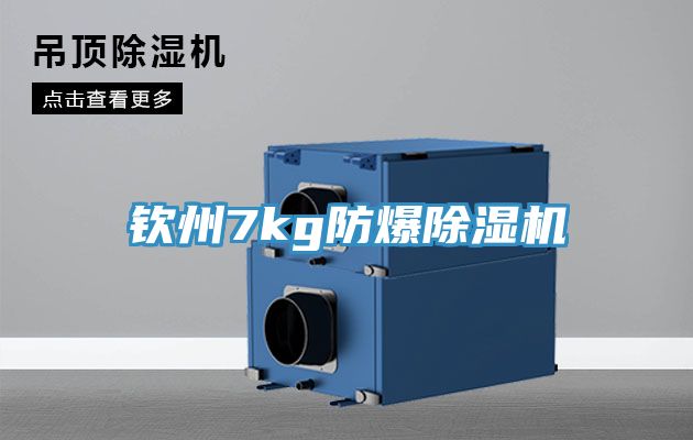 欽州7kg防爆榴莲视频官网APP