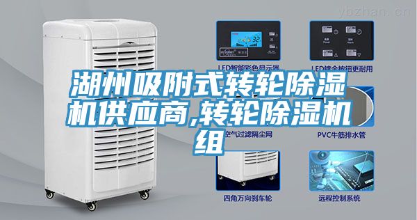 湖州吸附式轉輪榴莲视频官网APP供應商,轉輪榴莲视频官网APP組