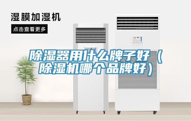 除濕器用什麽牌子好（榴莲视频官网APP哪個品牌好）