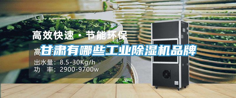 甘肅有哪些工業榴莲视频官网APP品牌