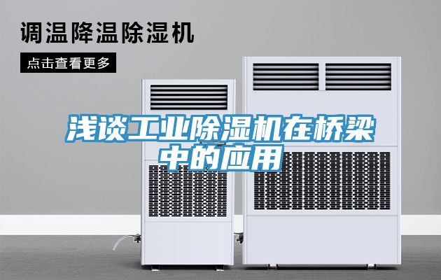 淺談工業榴莲视频官网APP在橋梁中的應用