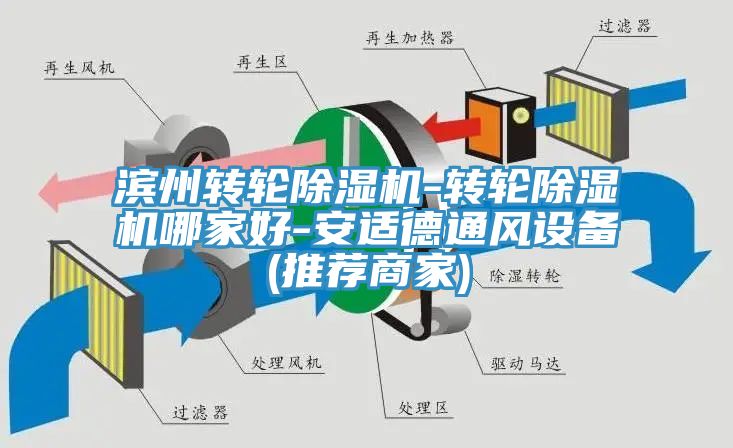 濱州轉輪榴莲视频官网APP-轉輪榴莲视频官网APP哪家好-安適德通風設備(推薦商家)