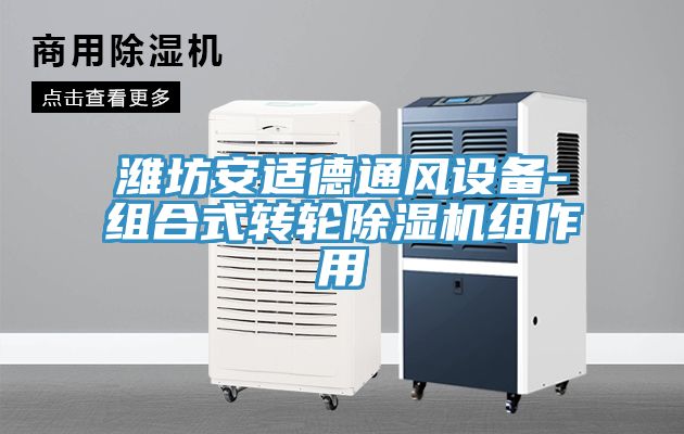 濰坊安適德通風設備-組合式轉輪榴莲视频官网APP組作用