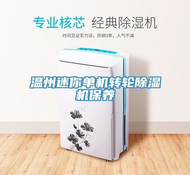 溫州迷你單機轉輪榴莲视频官网APP保養