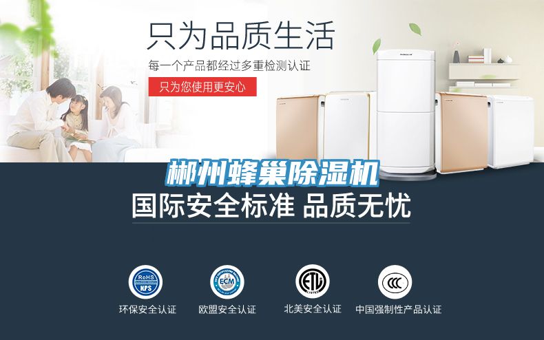 郴州蜂巢榴莲视频官网APP